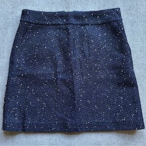 Navy Mini Skirt with Sparkles